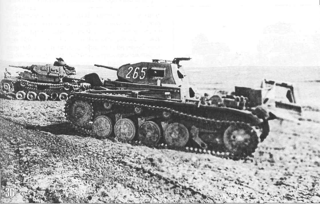 tmp2FE-35.jpg