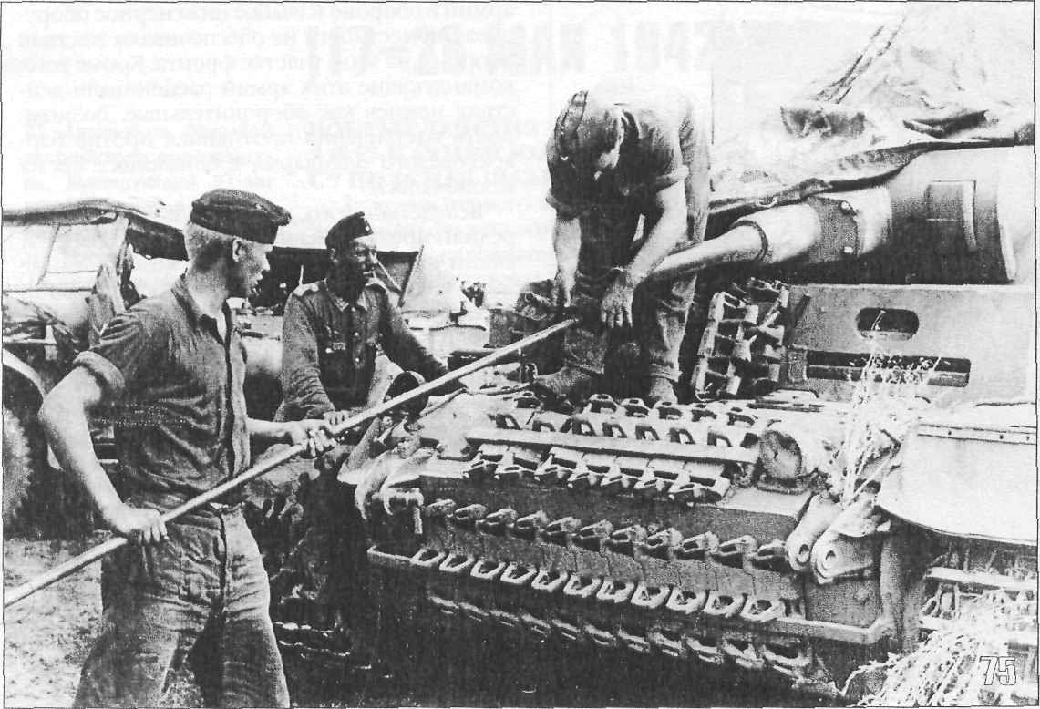 tmp2FE-89.jpg