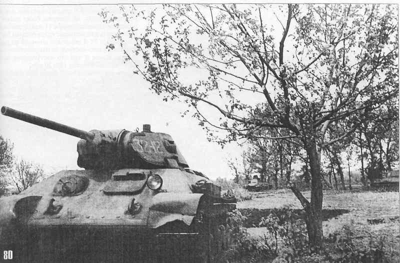 tmp2FE-94.jpg