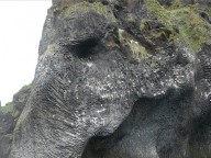 Удивительная скала в форме слона