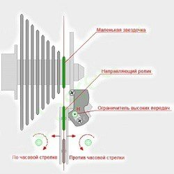 Как сделать лягушку на велосипеде