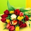 flowers_100x100_0017.jpg