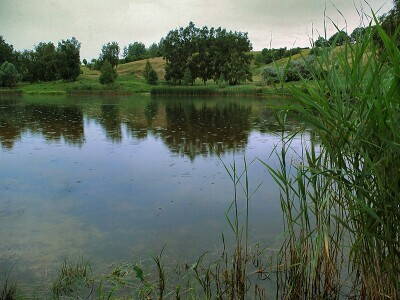 DSCF6737a.jpg