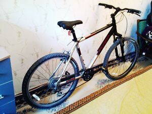 trek3900c.jpg