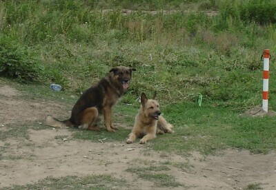 DSC07922.JPG