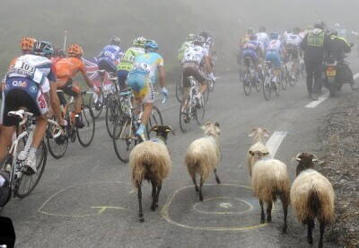 Col du Tourmalet.jpg