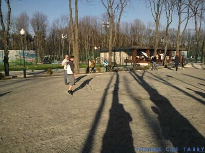 Petanque club Tabby kharkov (8).jpg