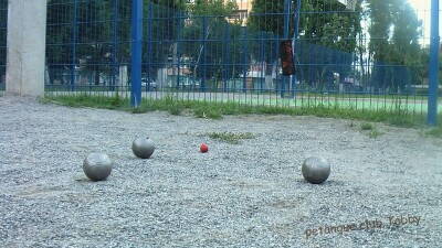 Petanque club Tabby hg (2).JPG