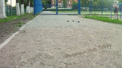 Petanque club Tabby hg (5).JPG