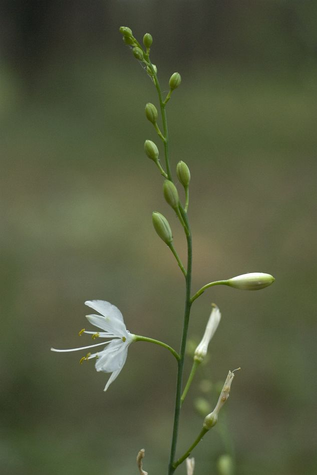 CRW_5678.jpg