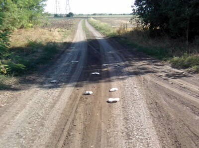 стайма диких памперсов.jpg (445.22 КБ) Просмотров: 14238 стайма диких памперсов.jpg