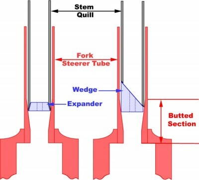 stem-bottom.jpg