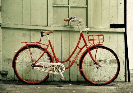 fahrrad-viva-juliett.jpg