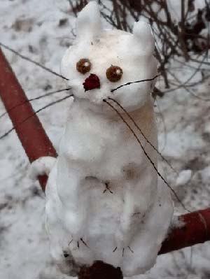 SNOW CAT.jpg