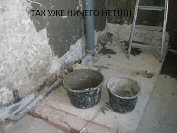 P1012693.JPG