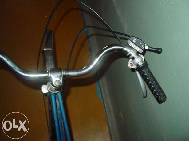 velosiped-pegas-2.jpg