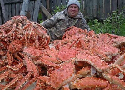 Крабы.jpg