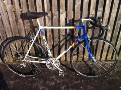 Raleigh Corsa 1986 Panasonic Team color.jpg