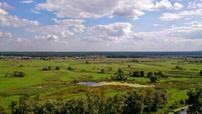 DSC_6085.JPG