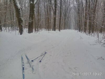 IMG_20170115_104258_HDR.jpg