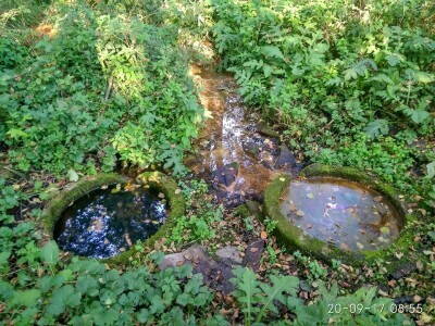 Родник с живой и мертвой водой.jpg