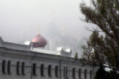 fogg_6_wrk.jpg