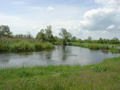 DSC00392_test.jpg
