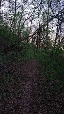 DSC_0381.JPG