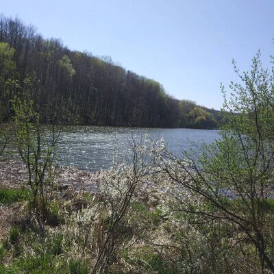 IMG_20190427_203928_558.jpg