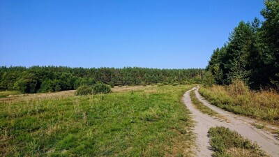 DSC_2744.JPG