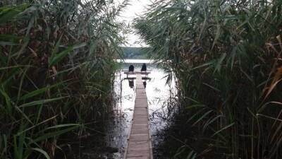 20200726_172230а.jpg