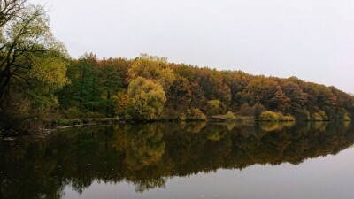 DSC_9207.JPG