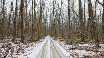 DSC_1226.JPG