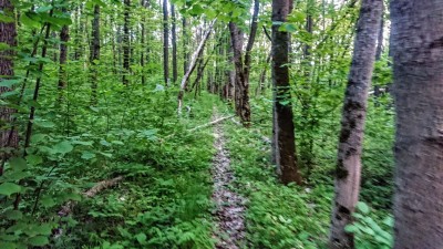 DSC_1348.JPG