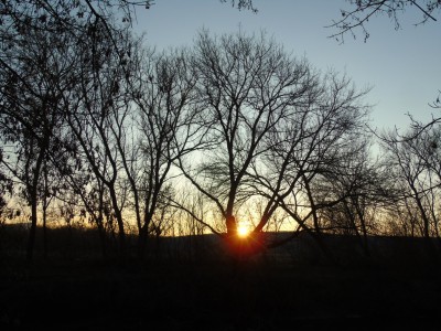 DSC04263.jpg