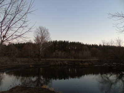 DSC04281.jpg