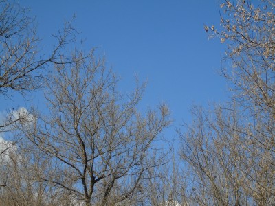 DSC05088_1.jpg