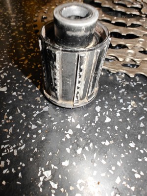 IMG20250403202051.jpg