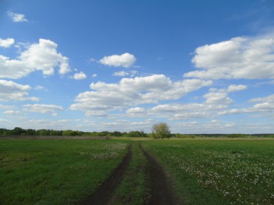 DSC05777.jpg