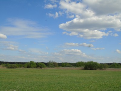 DSC05804.jpg