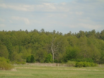 DSC05809.jpg