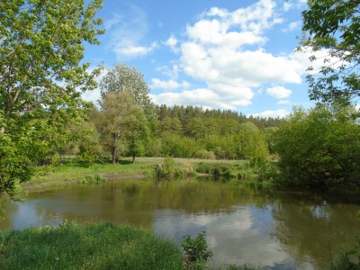 DSC05814.jpg