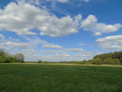DSC05817.jpg