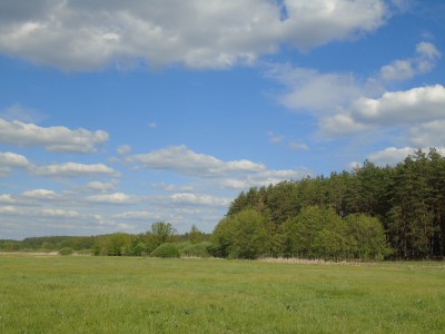 DSC05826.jpg