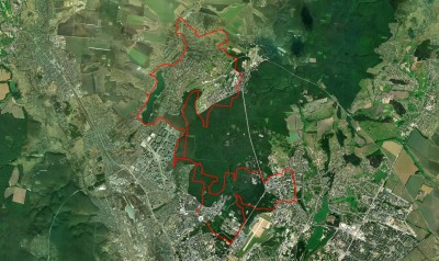 DGD_route_02052025.jpg