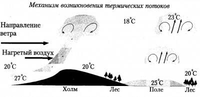 Термик.jpg