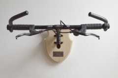 BicycleTaxidermy07