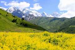 04-2 Разноцветье на фоне ледника Адиши