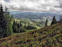 IMG 0562 fhdr