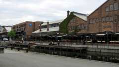 IMG 8479